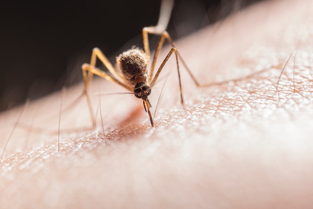 Quanto tempo ci vuole per installare una zanzariera